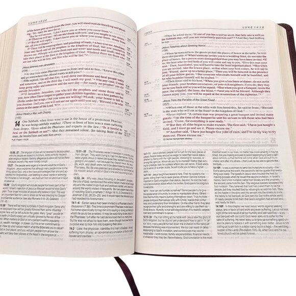 NIV Life Application Study Bible Zondervan Bonded Leather Burgundy Red Letter - Picture 14 of 16